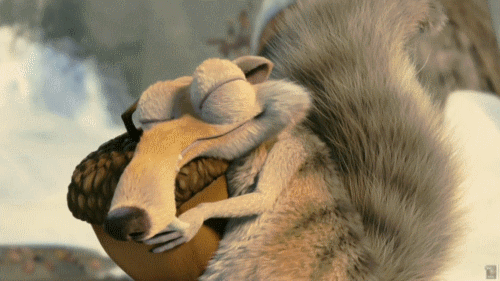 Ice Age Squirrel loves his nut